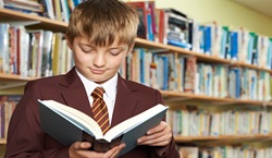 Pupil reading book in library