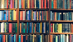 Books in bookshelves